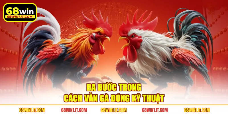Ba bước trong cách vần gà đúng kỹ thuật