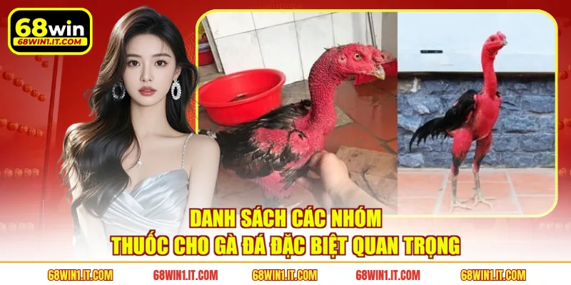 Danh sách các nhóm thuốc cho gà đá đặc biệt quan trọng